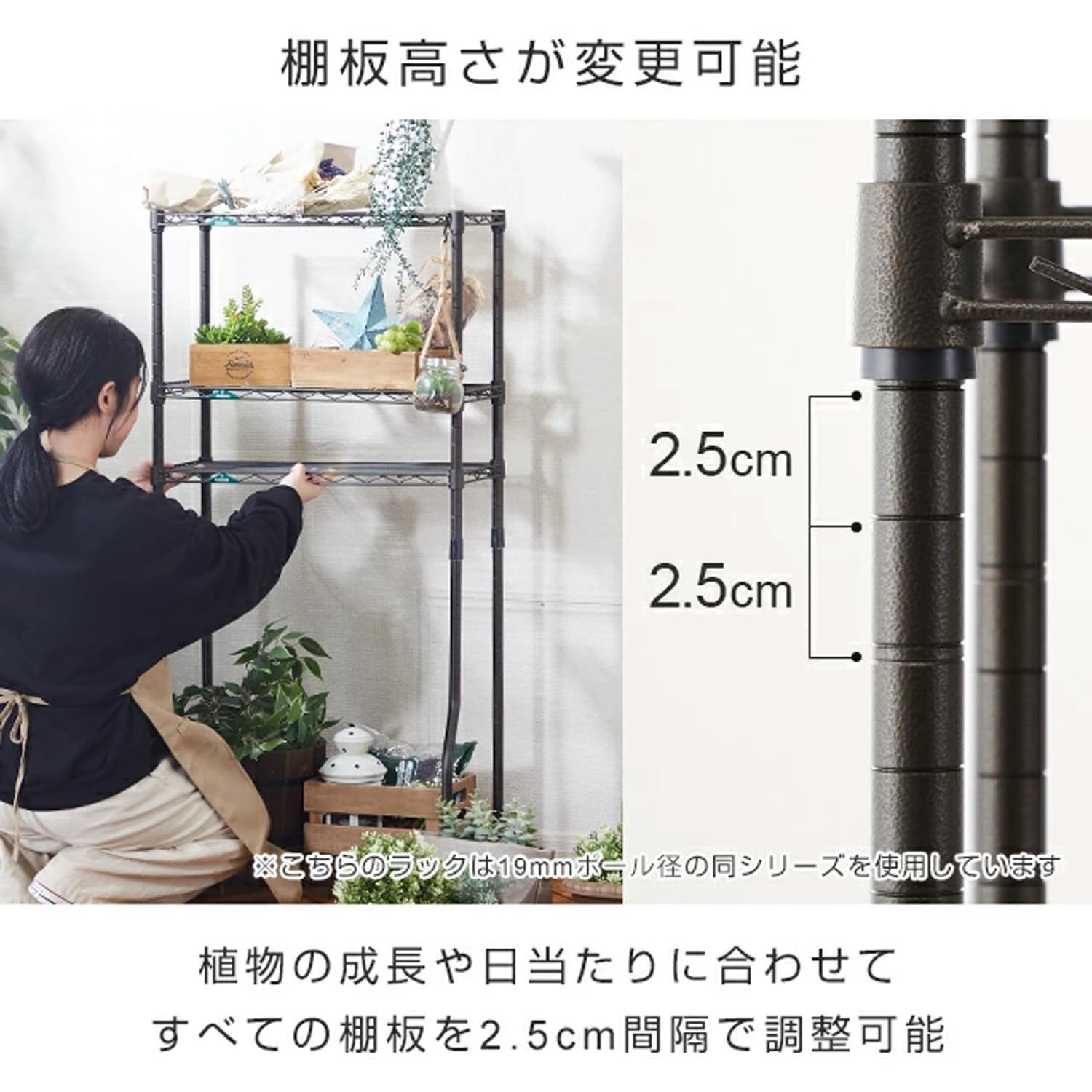 観葉植物