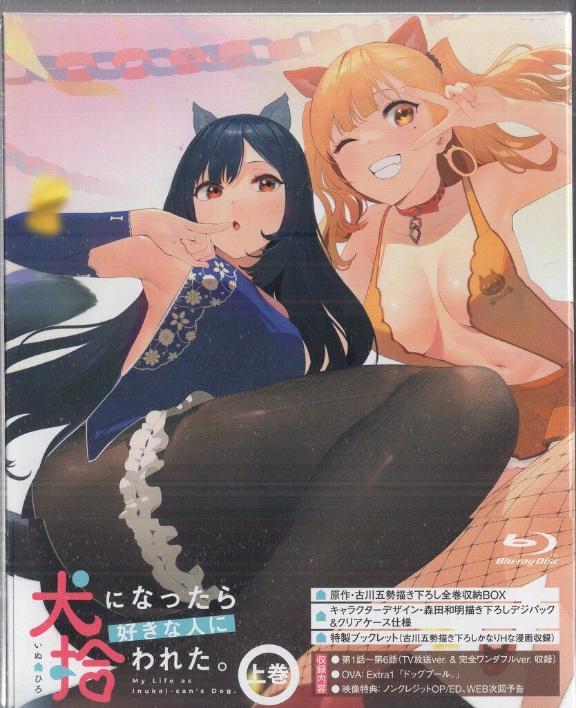 アニメBlu-ray 犬になったら好きな人に拾われた 初回生産 版 上下巻 セット