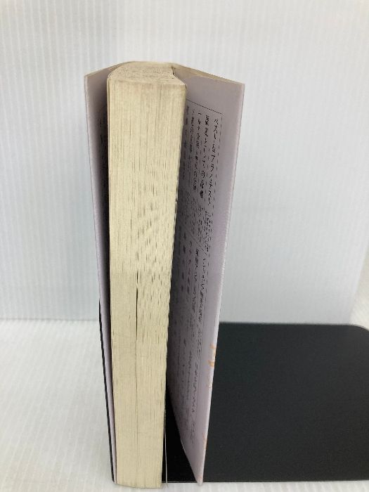 ユダヤ人は有史以来〈下〉 ユダヤ人は有史以来 下: パレスチナ紛争の根源 | ジョーン