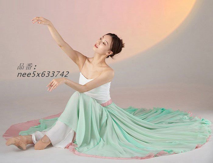 新発売鳥用レディース古典ダンスウェア ダンス衣装 スカート 大きい裾 ロング丈 広がる 扇子ダンス バレエダンス 傘ダンス スプ 古典ダンス 二重シフォンスカート  nee5x633742 自分で履く練習