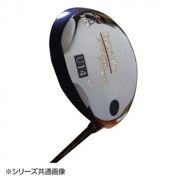 フィッシング Daiwa BLAZON Shimano SLX DC 70HG セット
