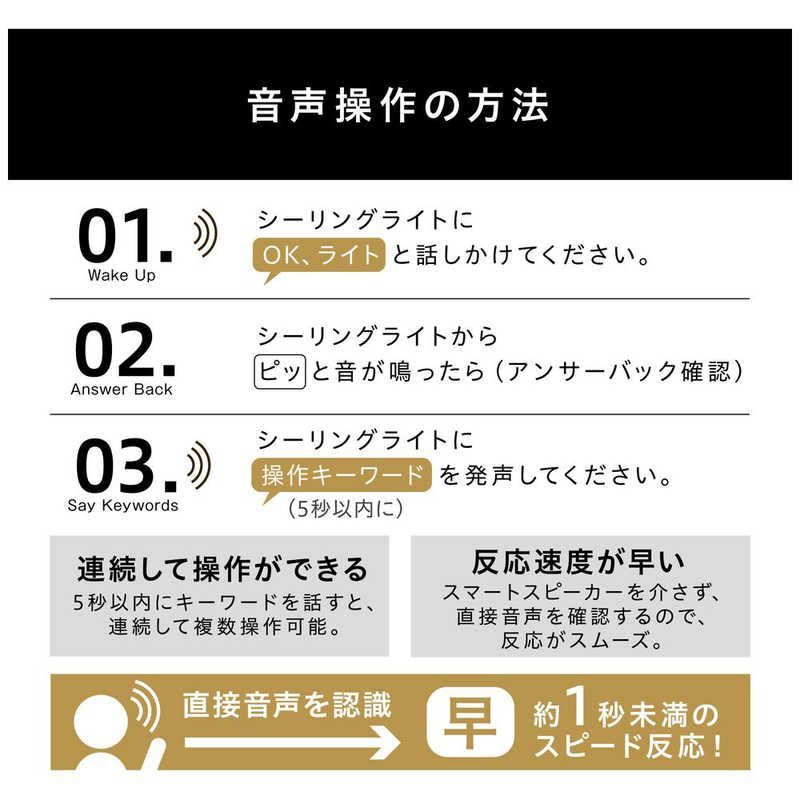 アイリスオーヤマ LEDシーリングライト パネルライト 12畳 昼光色～電球色 リモコン付属 CEK-A12DLPV MARWIL-DEMENAGEMENTS_CH