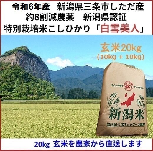 令和6年産新米 減農薬 新潟こしひかり玄米10kg+10kg 新潟県三条市旧しただ村産 新潟県認証 特別栽培米100% 白雪美人 グルテンフリー  送料無料 - メルカリ