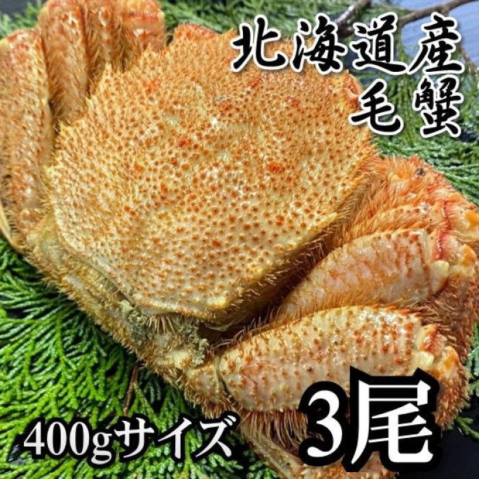 北海道産 毛蟹 3尾セット 合計約1.2～1.3ｋｇ分 付け足