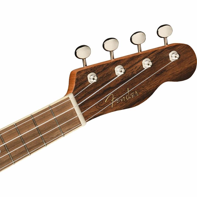 Fender