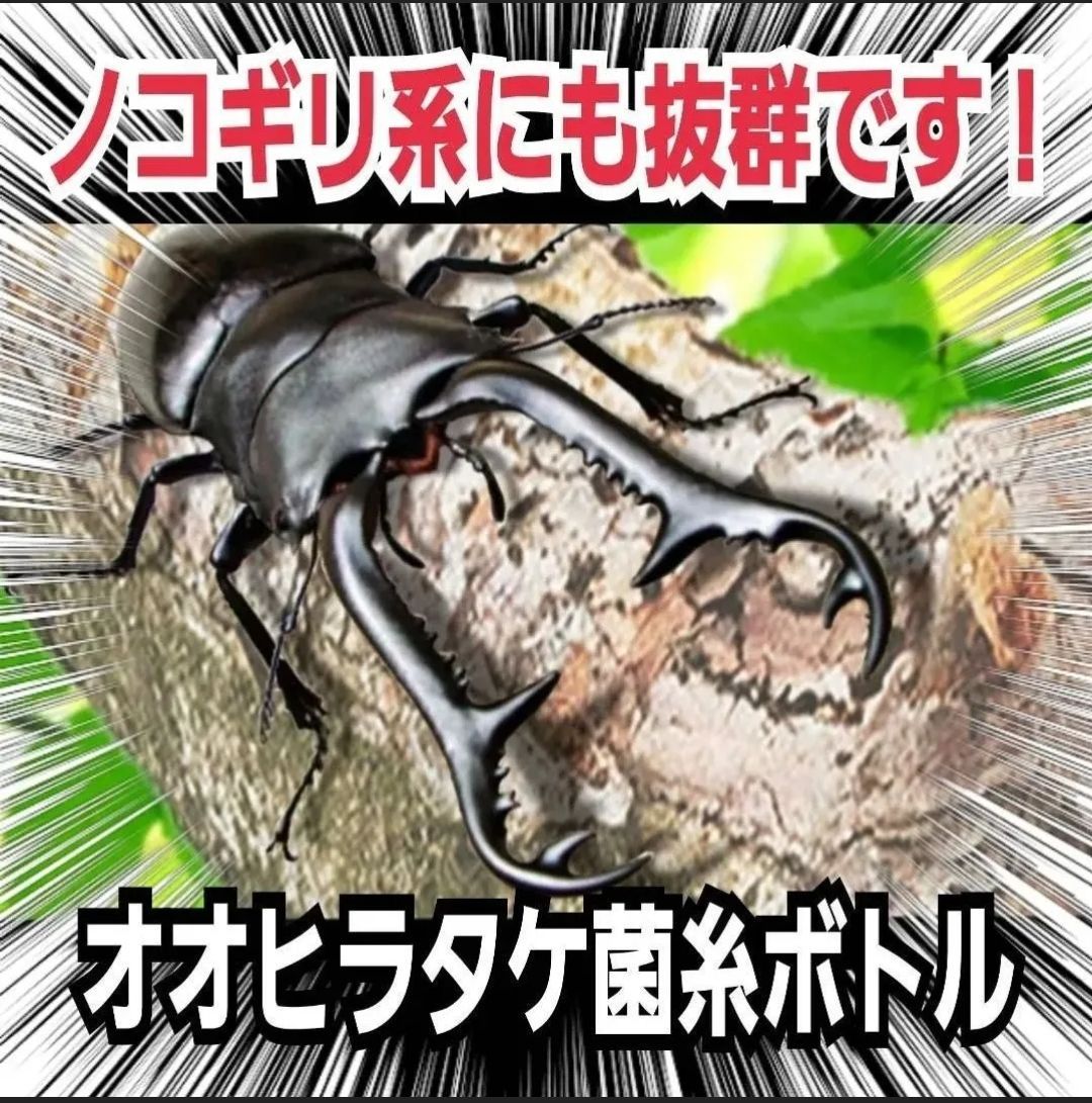 特殊アミノ酸強化配合 オオクワガタ