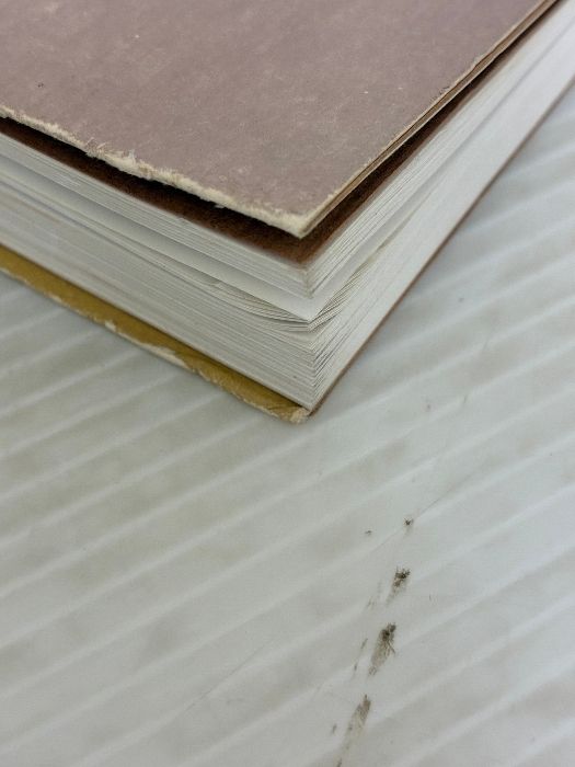 イタミ有り ベースラインブック