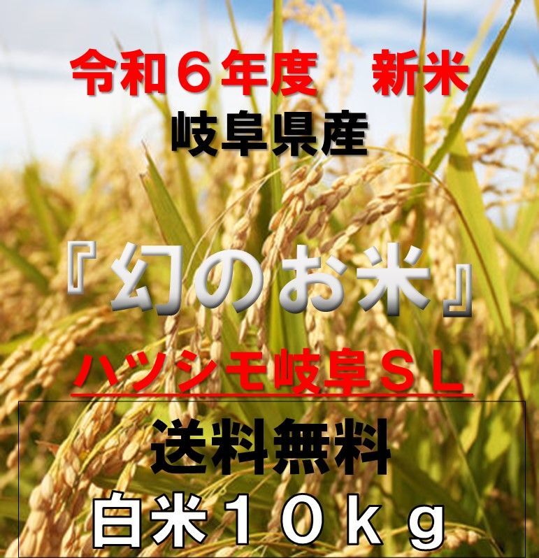 岐阜ブランド米 令和６年度『岐阜ハツシモ』新米 白米(玄米可)10キロ送料無料 - メルカリ