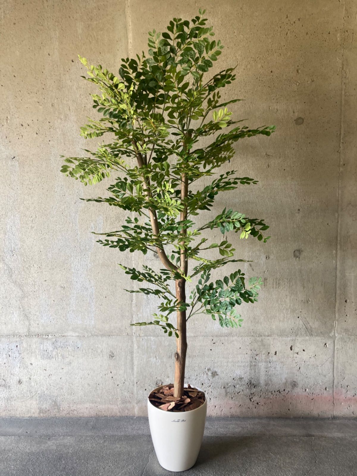 光触媒 人工観葉植物 ウォールグリーン フェイクグリーン フィカス