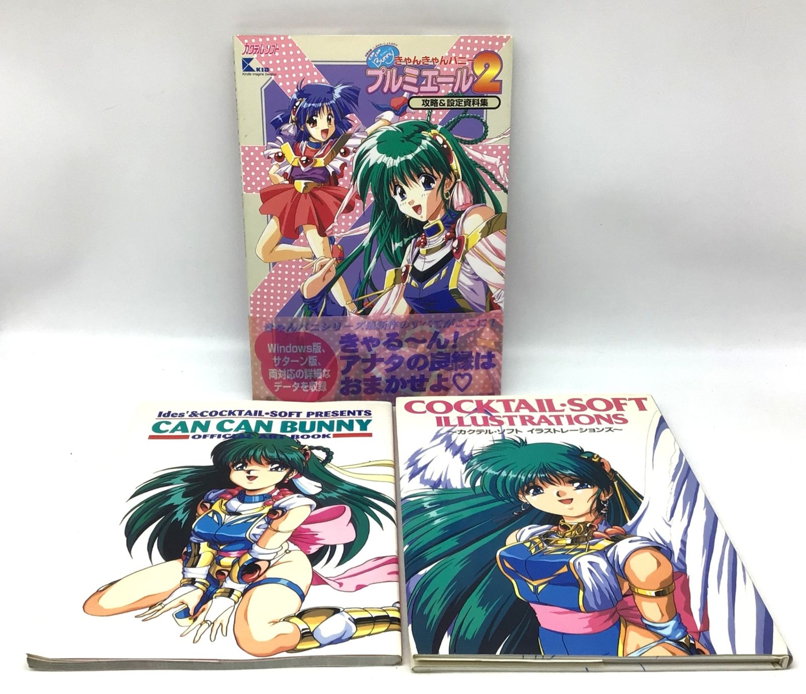 きゃんきゃんバニー　オフィシャルアートブック Can Can Bunny Official Art Book - Art and Reference Books