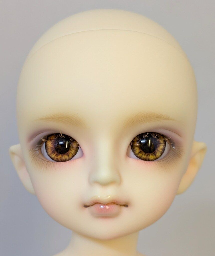 ボークス