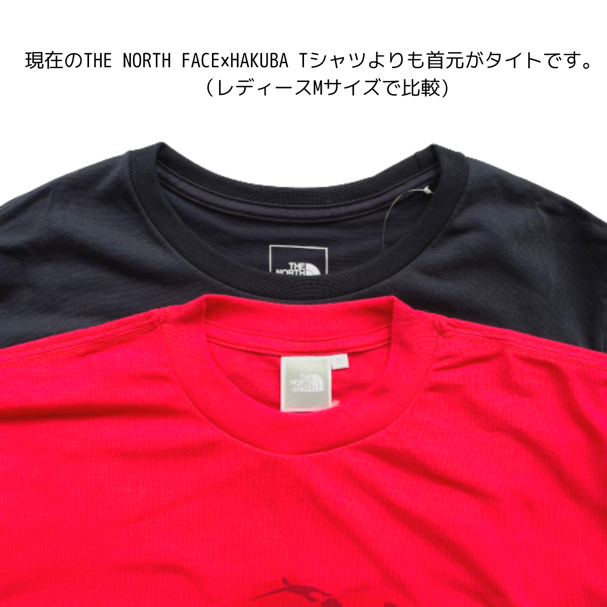 限定完売！ノースフェイス白馬ショップTシャツL/HAKUBA NORTHFACE - T