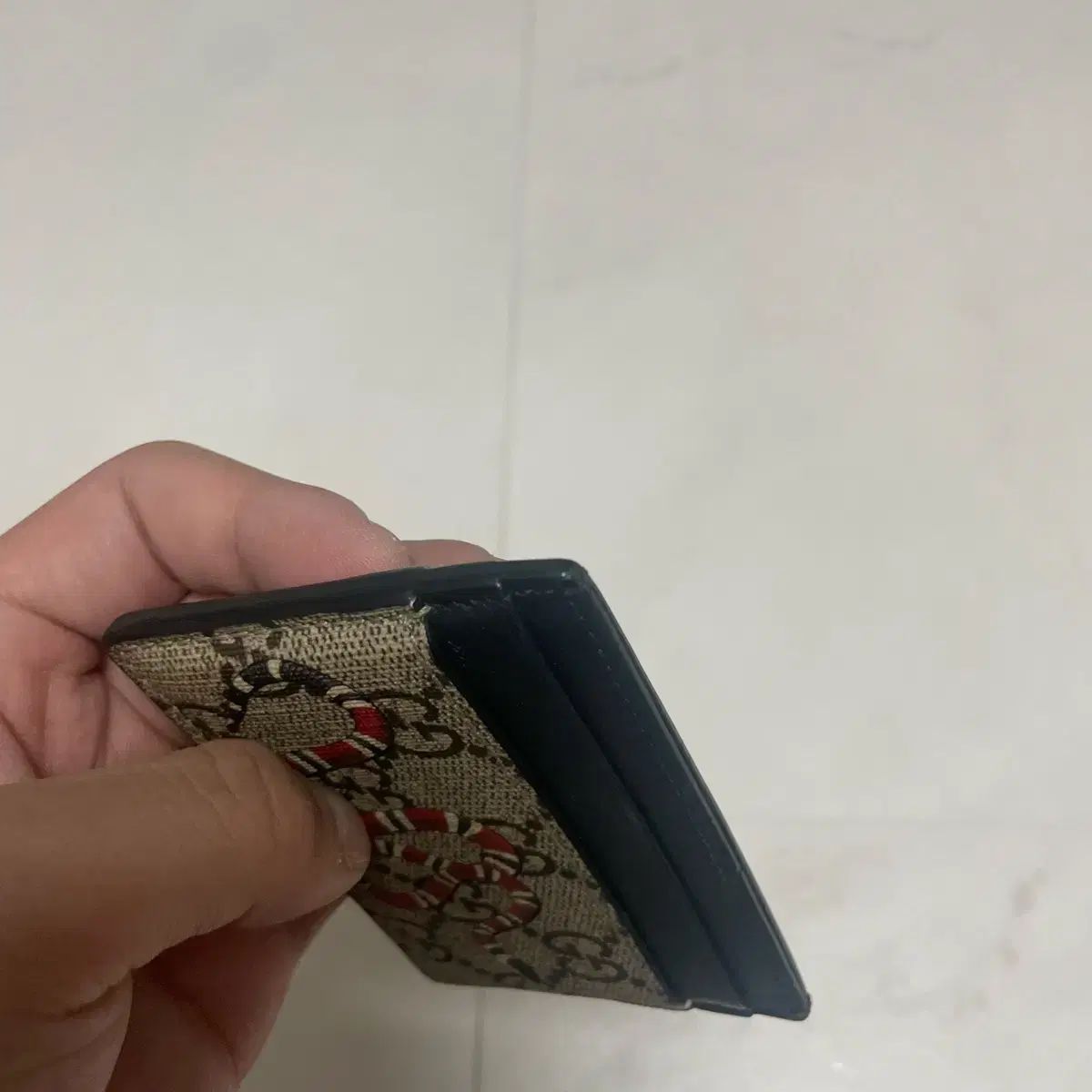 GG 蛇