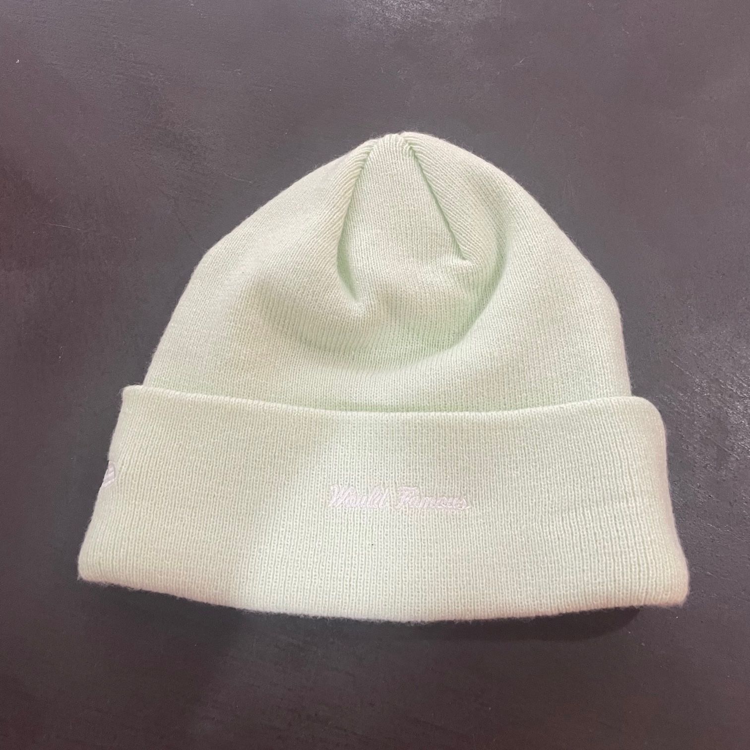 国内正規 SUPREME 23AW New Era Box Logo Beanie ライトグリーン