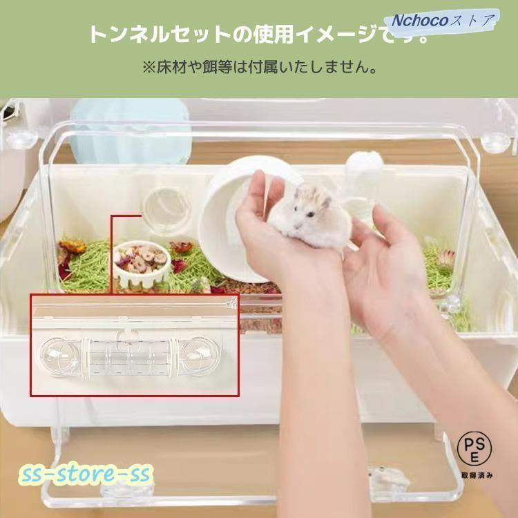 ゴールデンハムスター