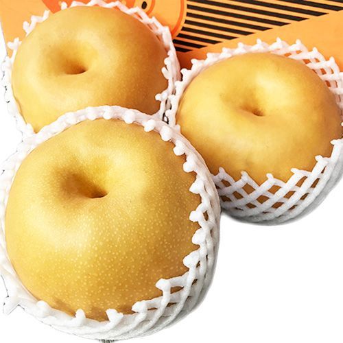 新高 約7．5キロ 公式 ジャンボ梨 熊本 荒尾 ※東北・北海道配送商品