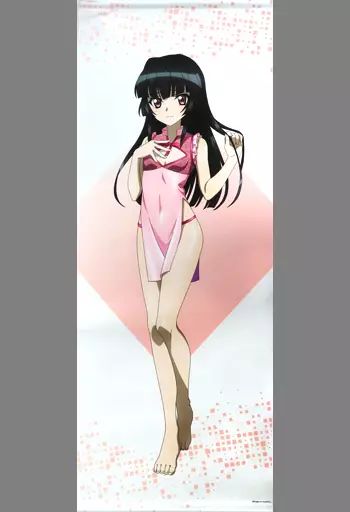 中古】タペストリー(大型) 月読調 等身大タペストリー 「戦姫 中古】タペストリー(大型) 月読調 等身大タペストリー 「戦姫