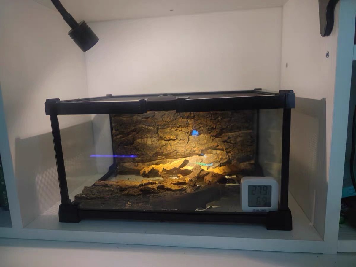 爬虫類両生類飼育ケージ組み立て式 ガラス飼育ケージ60x40x80cm引取り