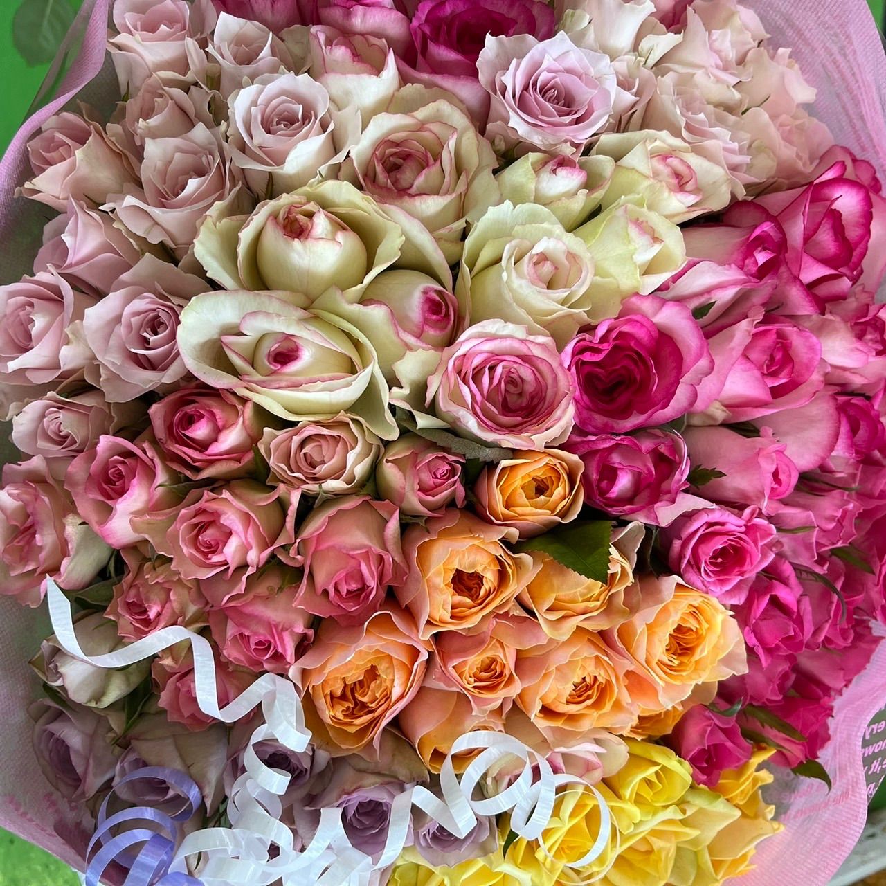 ＊100本の薔薇の花束＊30㎝ ×100本 おまかせミックス ラッピング＆メッセージカード込み 産地直販 鮮度抜群 結婚記念日 お誕生日プレゼント プロポーズ 大切な方へのギフト等に 切り花 生花 花束
