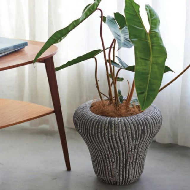 花 観葉植物用ポット イヴァナ 29 C Ceramic POT 1個入り 26023 底穴なし 鉢タイプ 代引き不可 大型鉢カバー FARM p13 WWW_NOITHATQUANGTHANH_NET