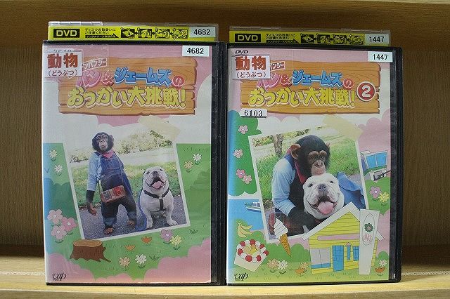 (未使用･未開封品)　パン&amp;ジェームズのおつかい大挑戦!2 [DVD] gsx453j 楽天ブックス: パン&ジェームズのおつかい大挑戦! - パン