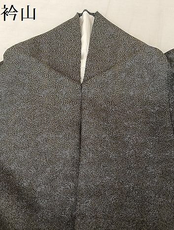 平和屋着物○江戸小紋 極小鮫小紋柄 黒地 正絹 逸品 AAAU4329np - メルカリ