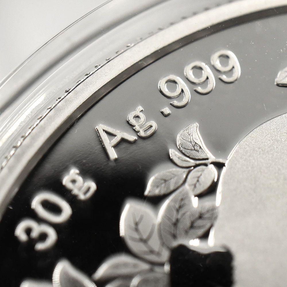 中国 2024 パンダ 10元 30g 銀貨 【1枚】 (コインケース付き