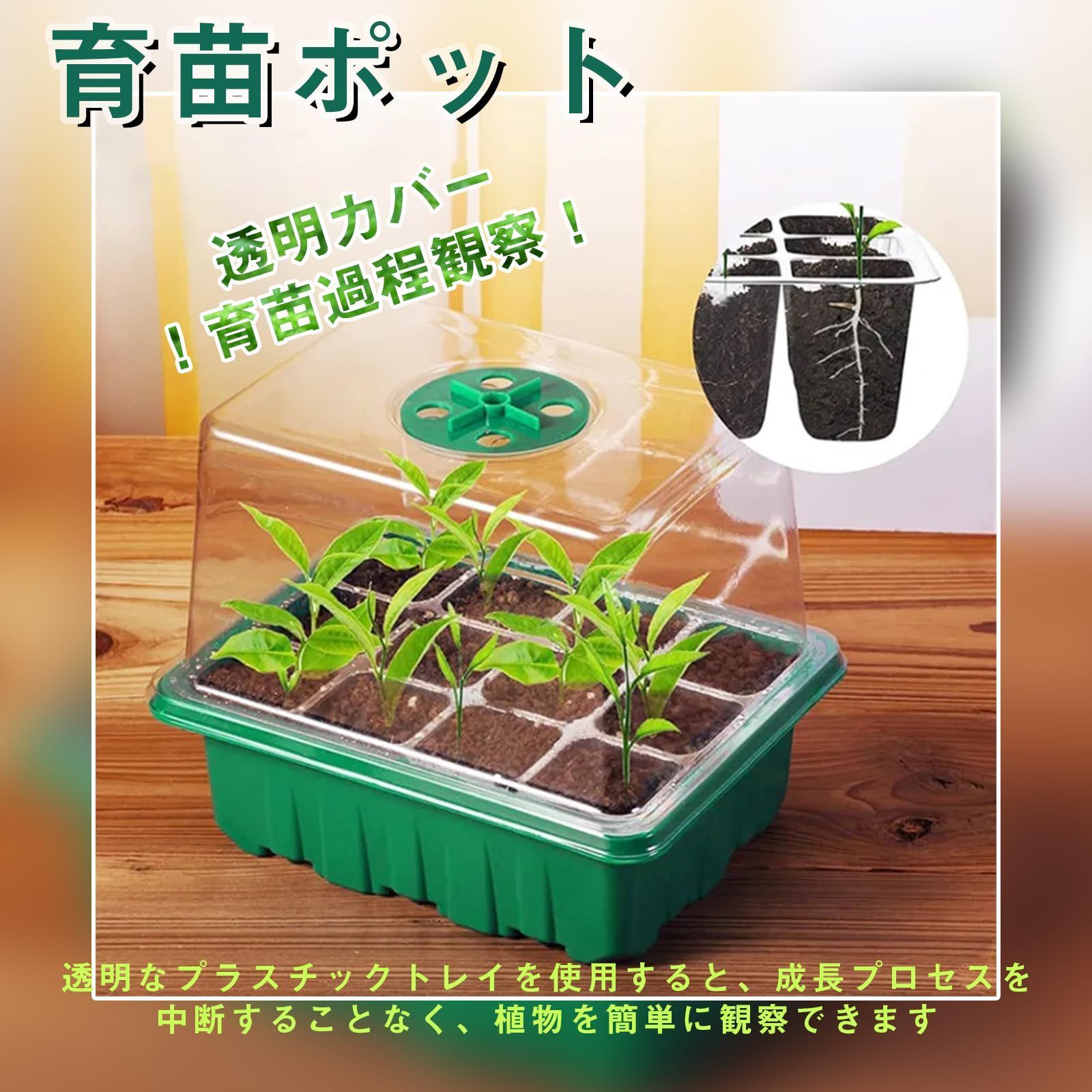 育苗ボックス 種子トレイ 発芽育苗セット 苗箱 発芽育苗器 育苗ボックス 種子トレイ 発芽育苗セット 苗箱 発芽育苗器