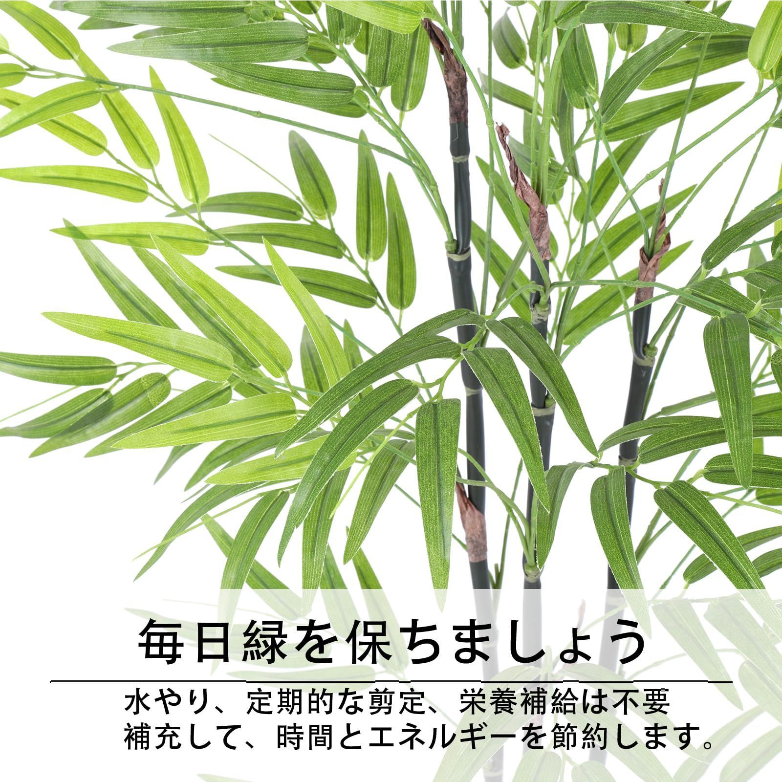 観葉樹