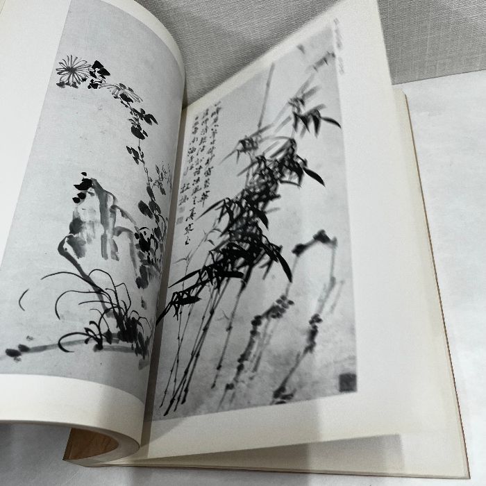 創立40周年記念 日本書芸院展図録 中国明清の絵画 1986年 図録