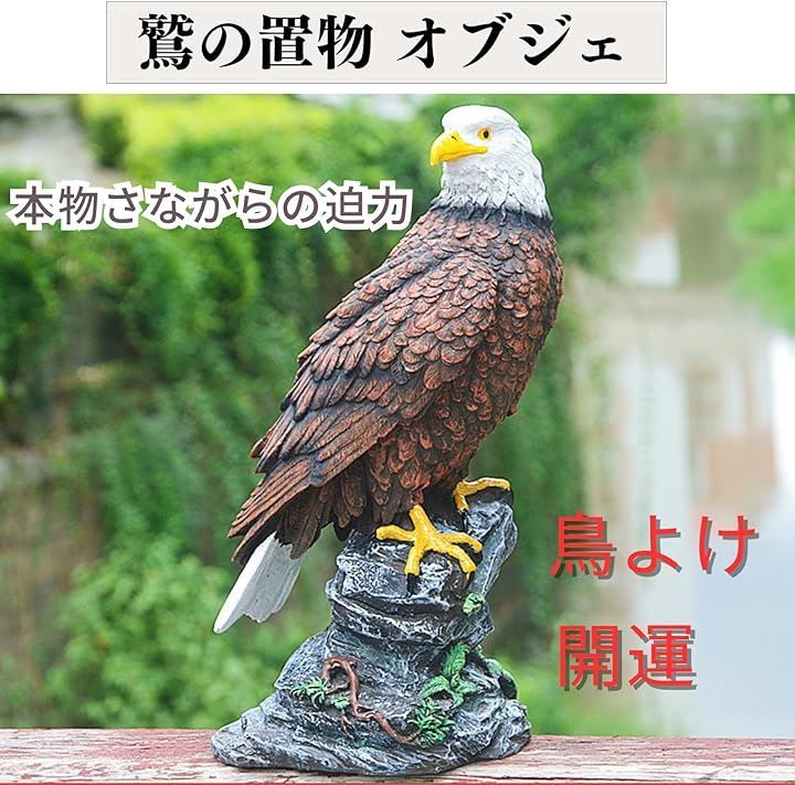 Amazon | PAEFIU 猛禽類最強 鷲 ワシ 鷹 置物 ミスターイーグル