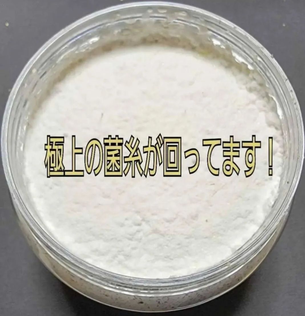 ノコギリの初令
