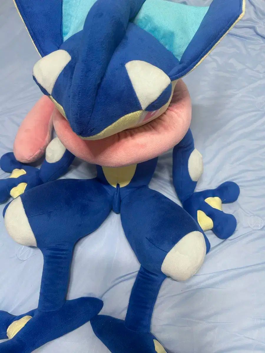 三英貿易BigMore! カラカラ ぬいぐるみキーホルダー付きポケモン