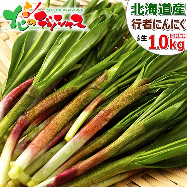 出荷中 北海道産 山菜 天然 行者にんにく 1kg 1束 50g×20束 春の味覚 天然 山菜 天然山菜 行者ニンニク 食品 野菜 ギフト 贈り物 お祝い 内祝い プレゼント ご家庭用 北海道 グルメ お取り寄せ