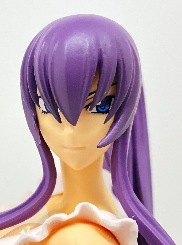 キャラアニドットコム 学園黙示録ハイスクール・オブ・ザ・デッド 毒島