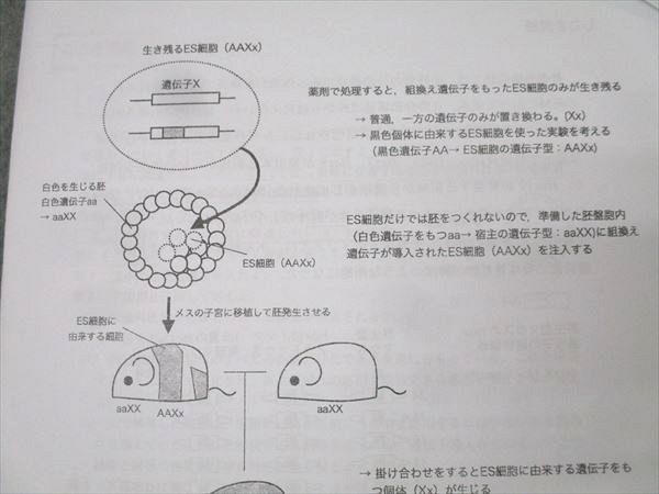 駿台 生物S Part1/2 テキスト通年セット 2024 計4冊 062M0D 駿台 生物S Part1/2 テキスト通年セット 2024 計4冊 042M0D