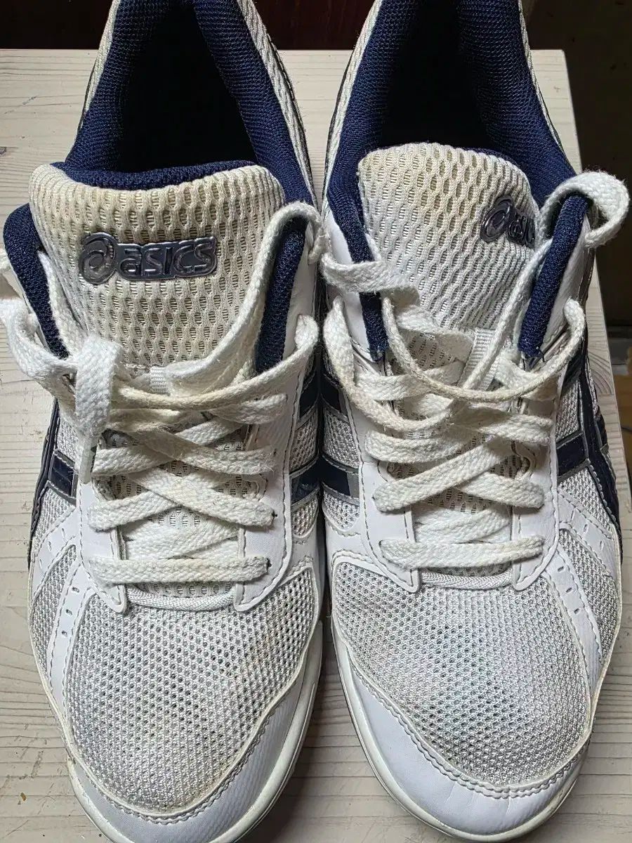 asics アシックス 宝くじ fl5 バレーボール バドミントン スポーツ大学入試 270mm