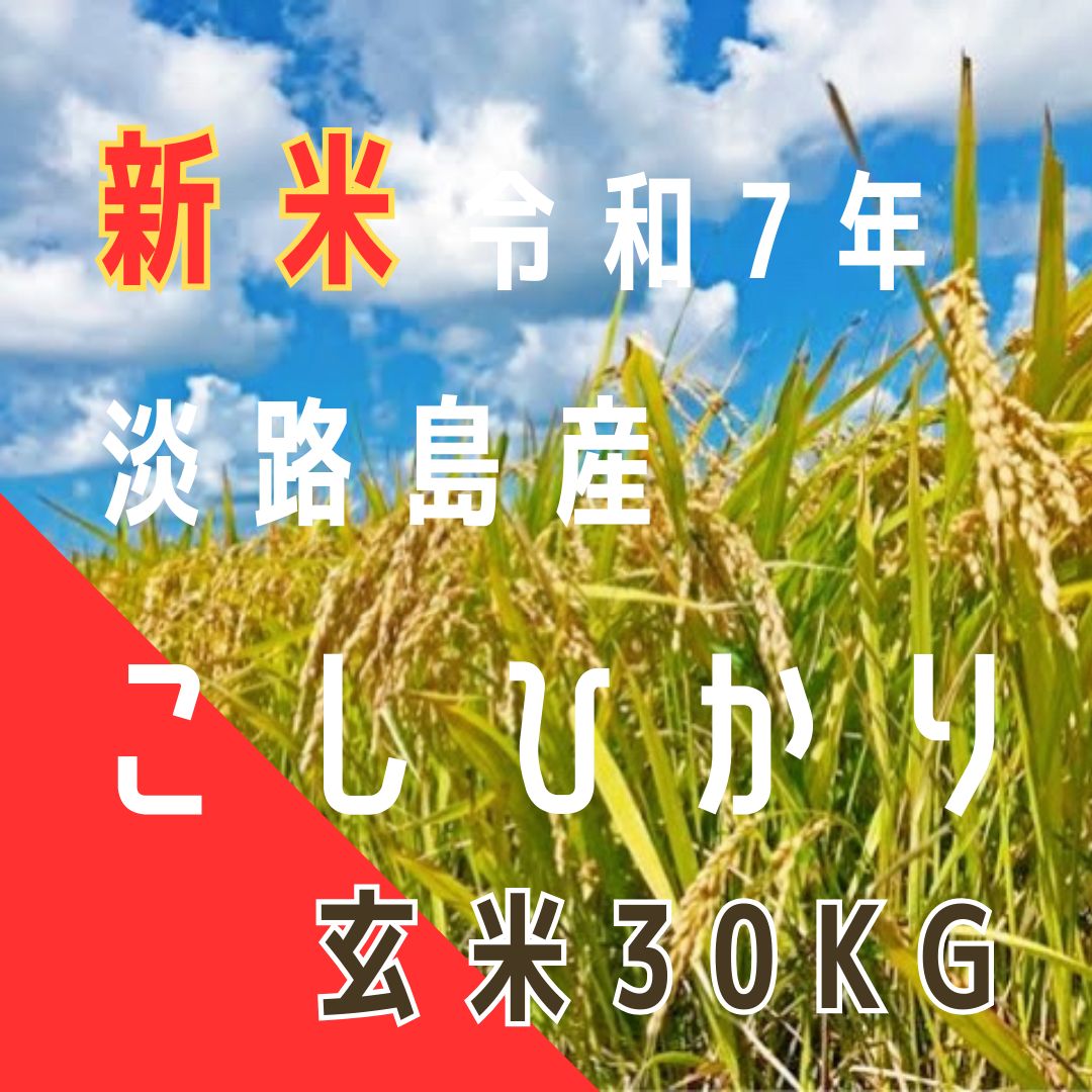 新米 令和7年産 こしひかり 玄米30キロ 淡路島産 産地直送