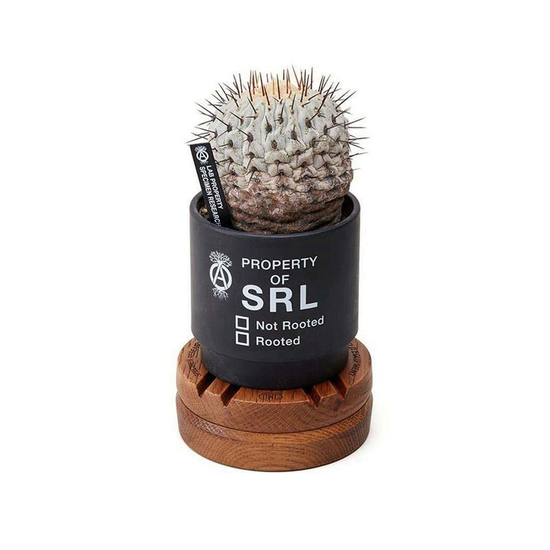 小物 NEIGHBORHOOD SRL LFE ROTARY WOODSTAND WD NEIGHBORHOOD SRL x LFE 木製回転スタンド