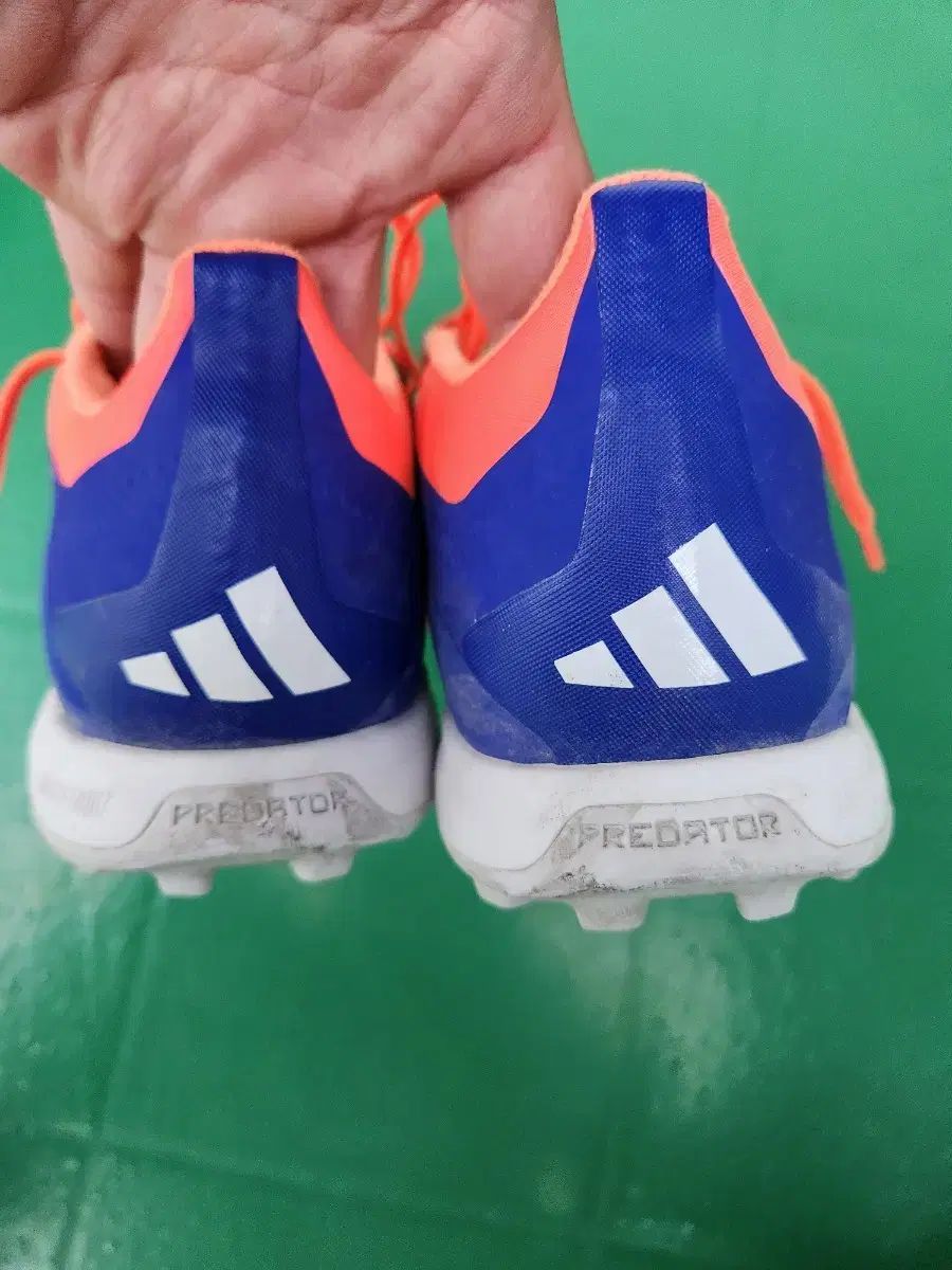 プレデターエリート TF　26.0 adidas アディダス プレデター ELITE TF(ブルー×ホワイト×レッド