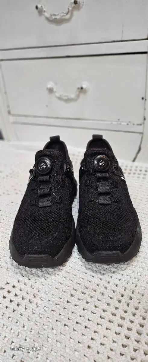 大田連亘 彩色画 【 親鸞聖人像図 】 未使用品に近い状態 共箱