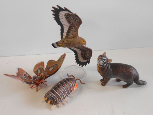 ♯Kwi18GJ カプセルQ 日本の動物 コレクション7 八重山諸島 全7種 カプセルQミュージアム 日本の動物コレクション7 八重山諸島
