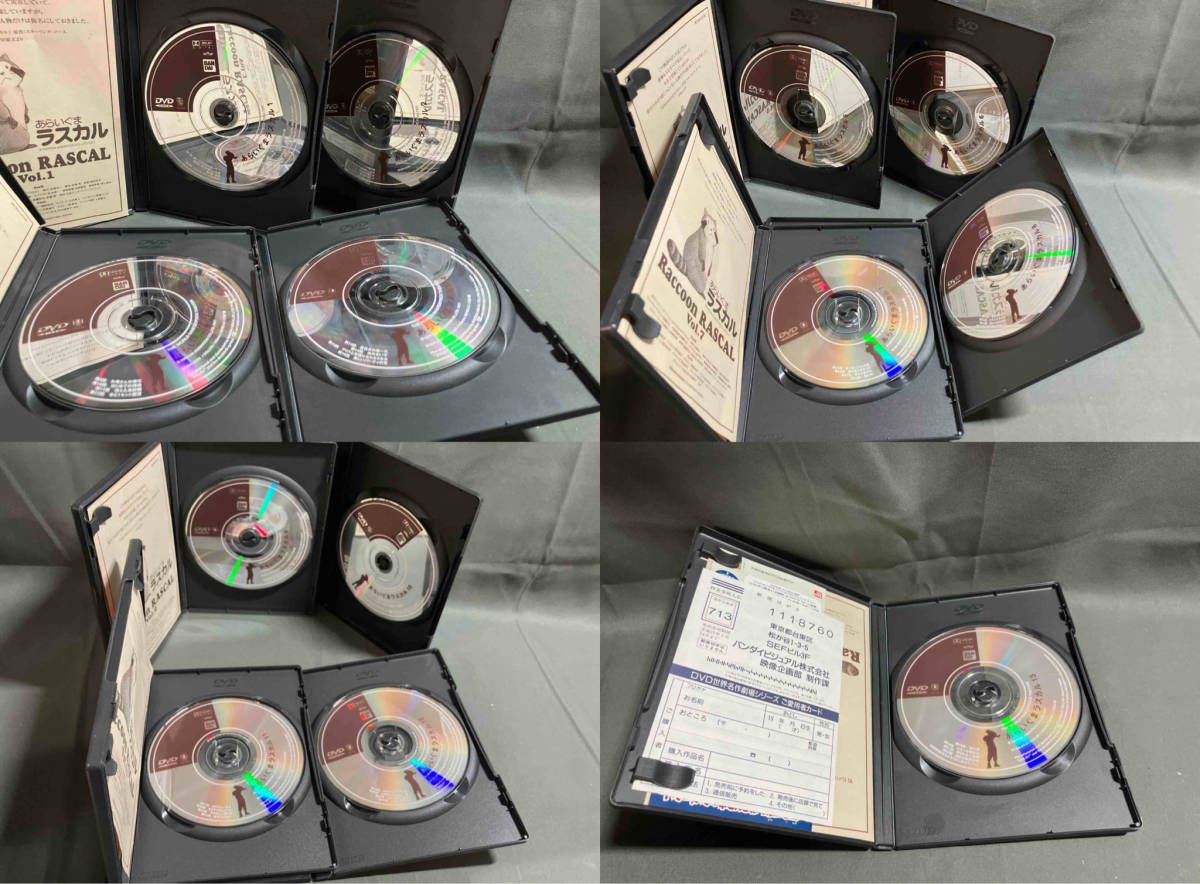 DVD 【※※※】[全13巻セット]あらいぐまラスカル 1~13 - メルカリ