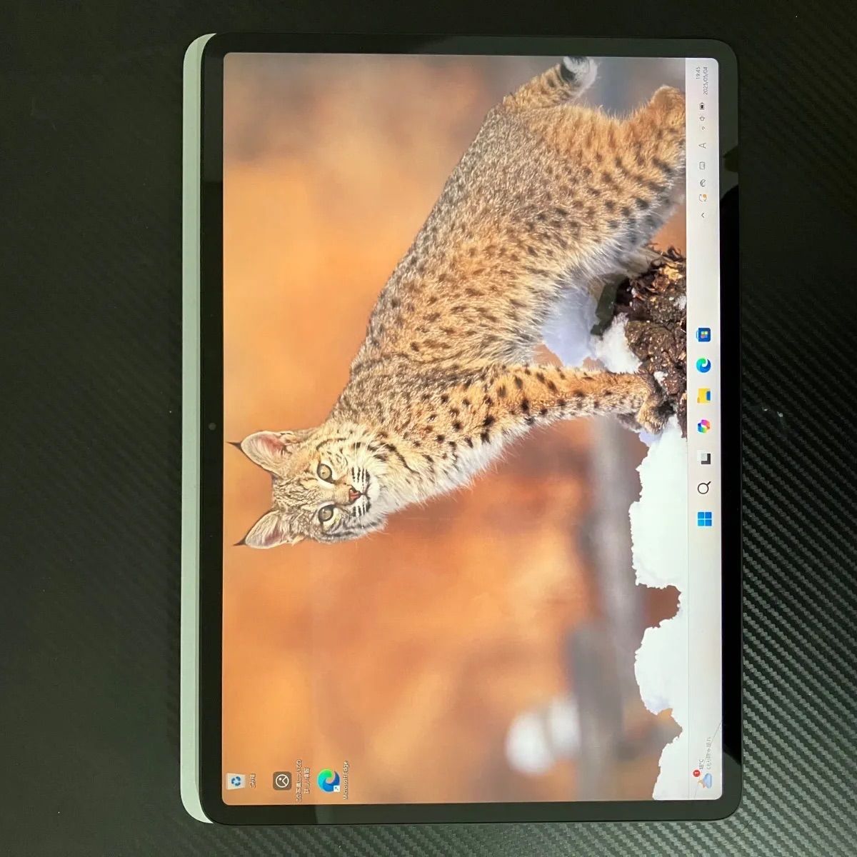 Surface