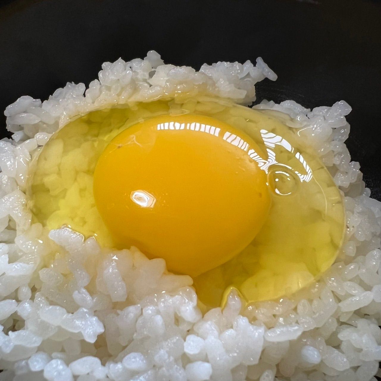 350個入り　佐伯養鶏(旧:宮下養鶏)の朝採れ平飼い卵 350個入り 佐伯養鶏(旧:宮下養鶏)の朝採れ平飼い卵