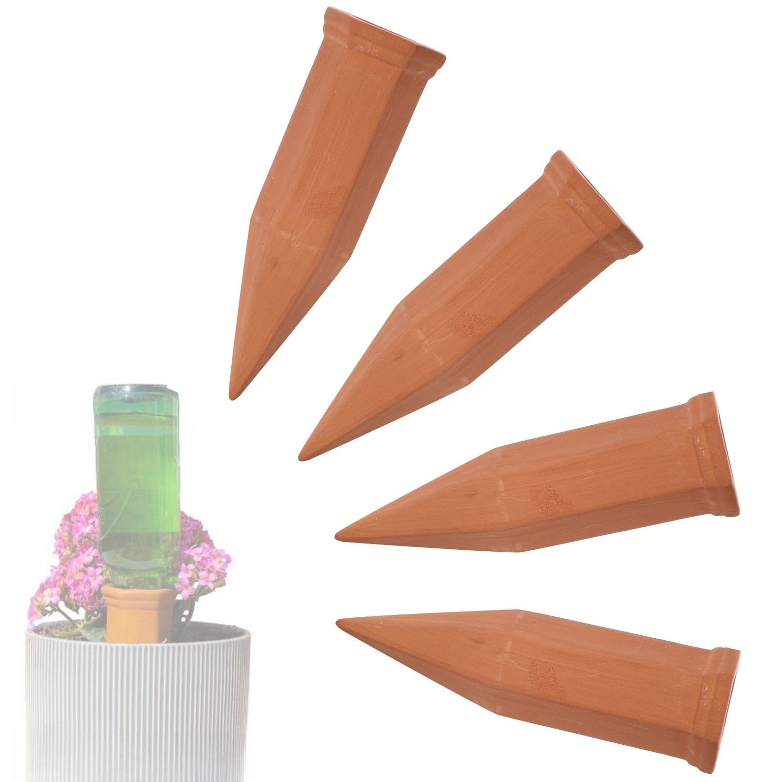 ボリュームあります！逆さポット植え！フペルジア『phlegmaria