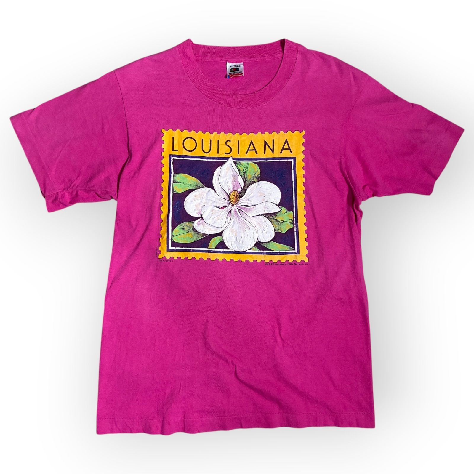 90s USA製】FRUIT OF THE LOOM シングルステッチ アート Tシャツ M