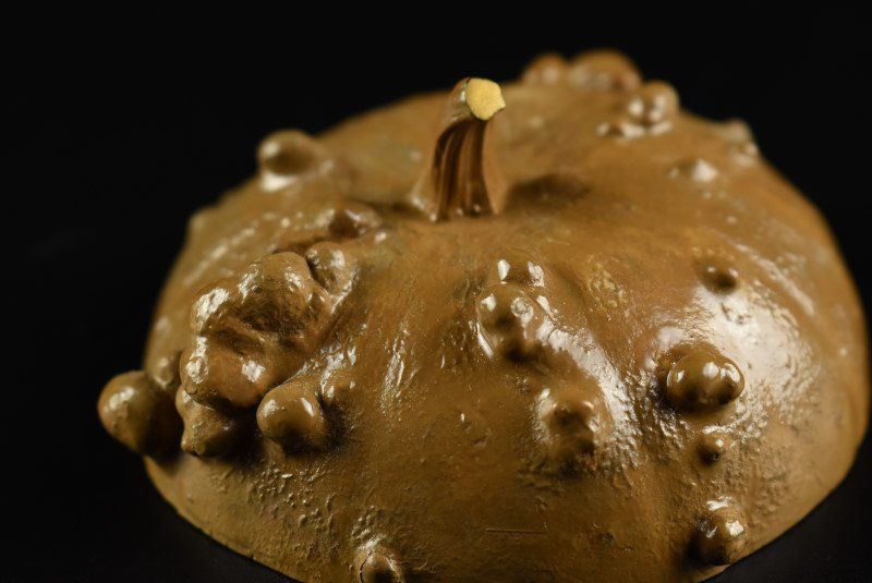 蔵A3793 輪島塗 塗師 助市作 南瓜かぼちゃ 香合 共箱 IMPECCABLEHEALTHCARESERVICES_COM