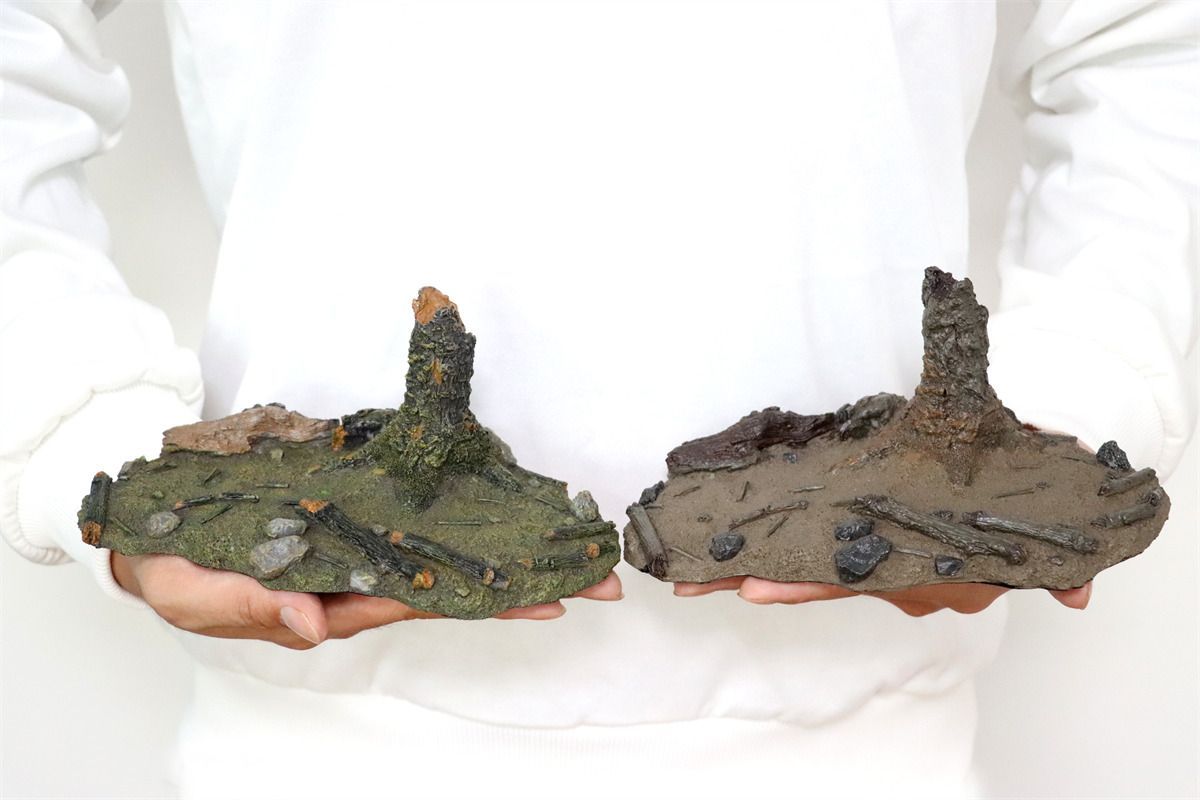 【レア】ナノティラヌス（Nanotyrannus）の歯 母岩付き　鋸歯あり レア】ナノティラヌス（Nanotyrannus）の歯 母岩付き 鋸歯あり