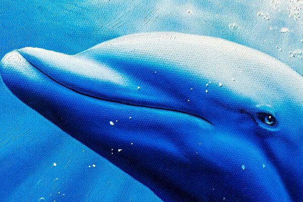 クリスチャン リース